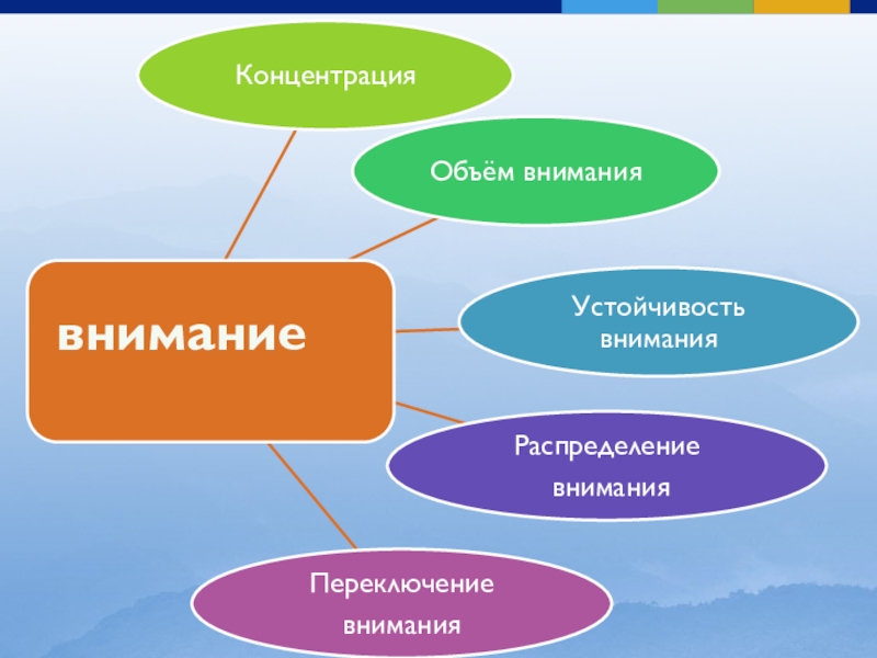 Виды внимания рисунок. Объем внимания. Объем внимания это в психологии. Концентрация внимания. Внимание и распределение и концентрация внимания.