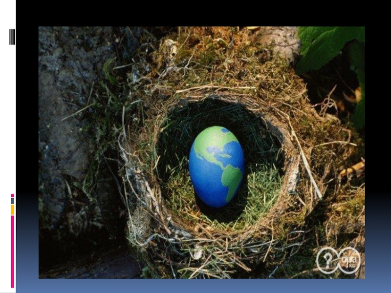 международный день предотвращения эксплуатации окружающей среды. 6 ноября день. предотвращения эксплуатации окружающей среды. 6 ноября международный день эксплуатации окружающей среды. 1 ноября день образования российского экологического.