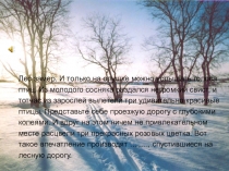 Презентация к уроку технологии. Учимся делать игрушки из помпонов .Снегири