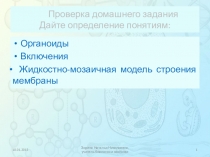 Презентация по биологии на тему Органеллы цитоплазмы, их структура и функции. Наружная цитоплазматическая мембрана, эндоплазматическая сеть, аппарат Гольджи, лизосомы, механизм внутриклеточного пищеварения (10 класс)