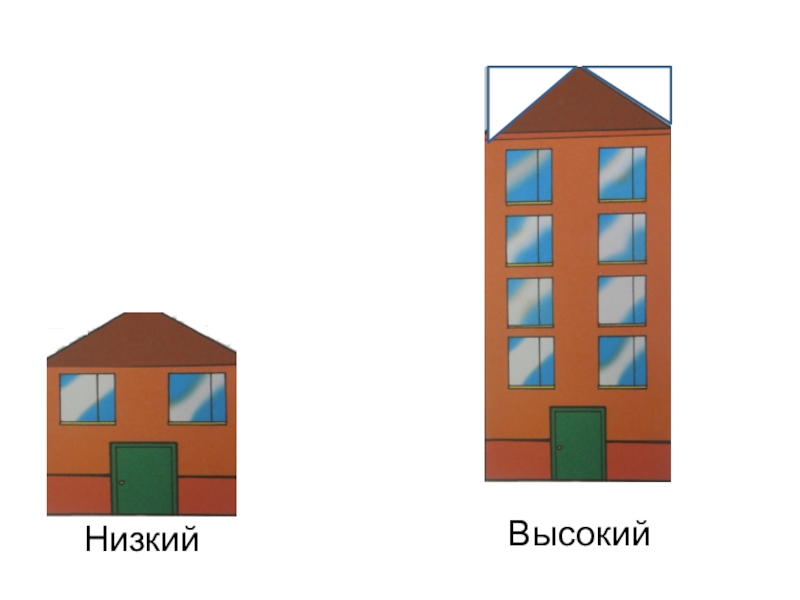 Презентация высокий низкий