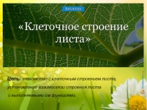 Презентация по биологии на тему Клеточное строение листа (6 класс)