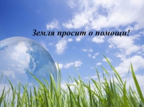 Экологическое воспитание дошкольников