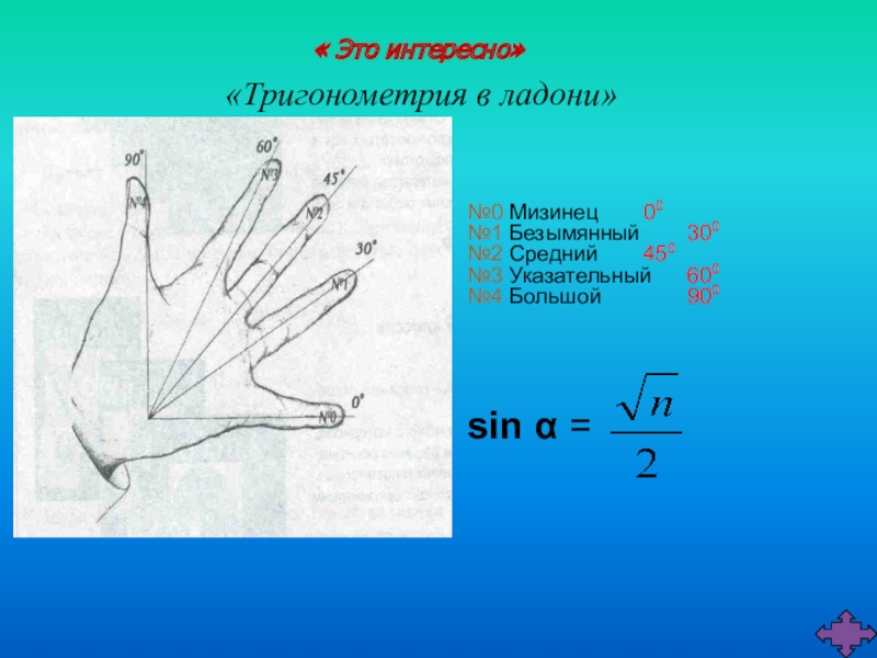 Тригонометрия в медицине проект