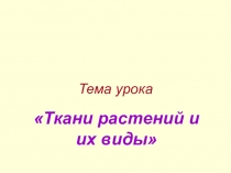 Призентация по биологии 6 класса тема Ткани растений