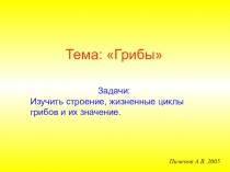 Презентация по биологии для 6 классов на тему Грибы