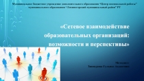 Сетевое взаимодействие образовательных организаций: возможности и перспективы.