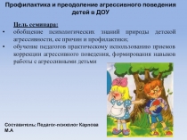 Презентация к семинару-практикуму для педагогов по теме: Профилактика агрессивного поведения у детей