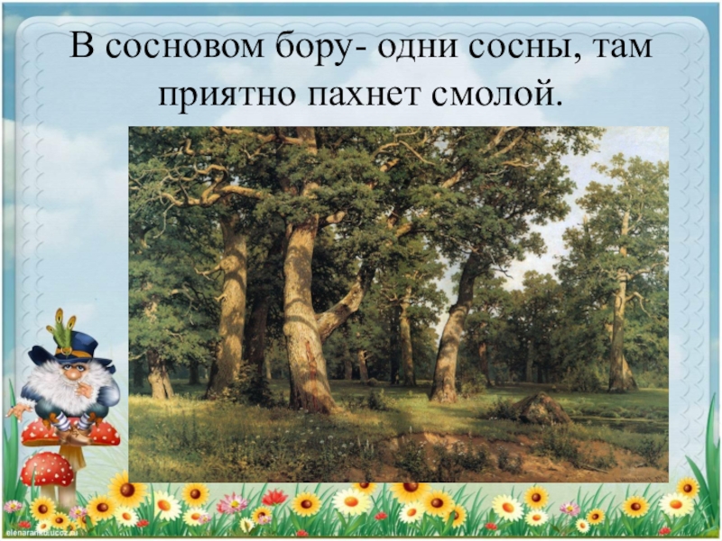 Душистой смолой пахнет бор у старой сосны. День леса для дошкольников. Безопасность в лесу для дошкольников. Предложение со словом лес дошкольники.