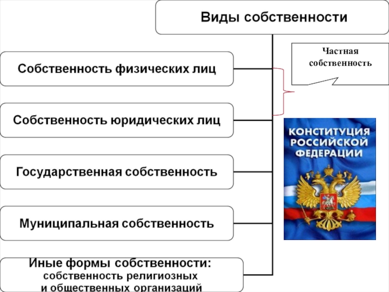 Государственная собственность юридических лиц. Частная собственность граждан и юридических лиц. Частная собственность физического лица. Физические и юридические лица, формы собственности. Частная собственность юридических лиц примеры.