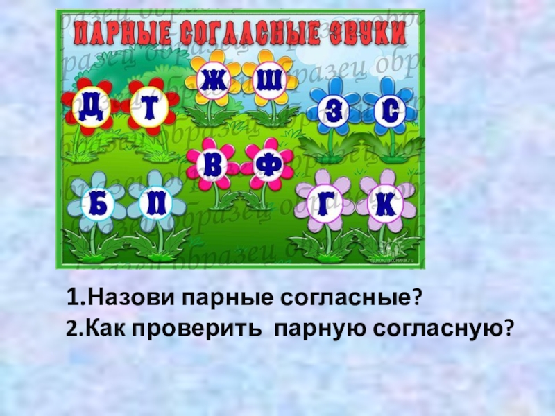 Парные согласные 2 класс. Назови парные согласные. Назовите парные согласные. Назвать парные согласные. Парные согласные согласные.