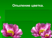 Презентация по окружающему миру на тему Опыление (3 класс)