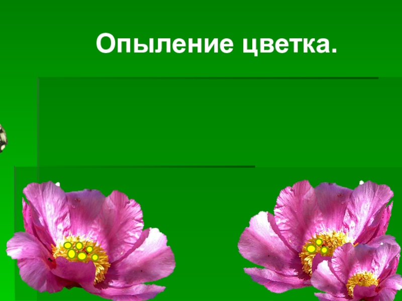 1 опыление. Опыление цветка. Опыление это 3 класс окружающий мир. Опыление это 3 класс. Тема опыление окружающий мир 3 класс.