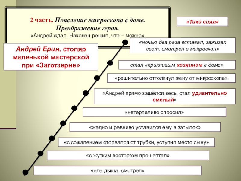 План микроскоп шукшин