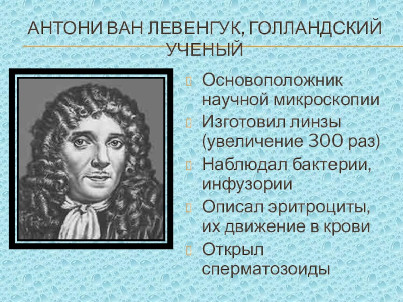 Антони ван левенгук. Антони Ван Левенгук линзы. Антони Ван Левенгук открыл бактерии. Антони Ван Левенгук открытия эритроциты. Антони Ван Левенгук инфузория.