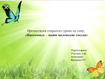 Презентация открытого урока по окружающему миру на тему: Насекомые - наши маленькие соседи