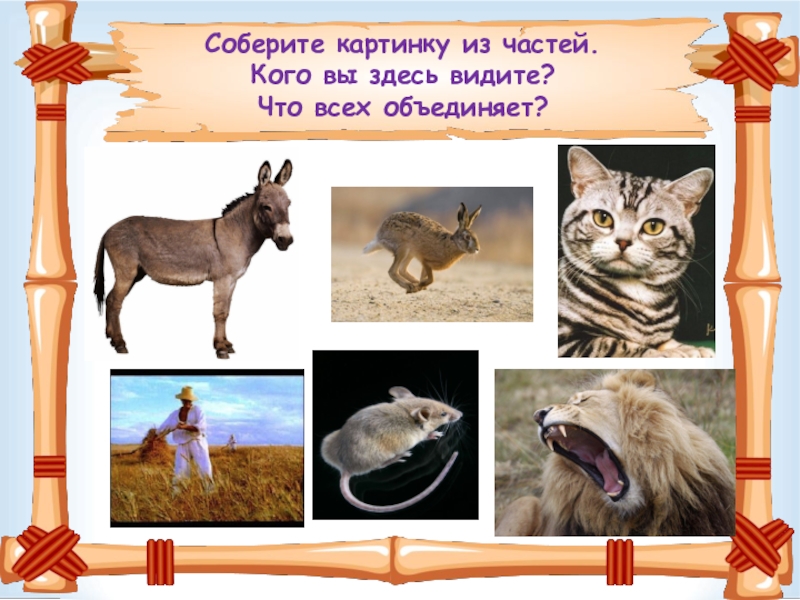 Соберите картинку из частей. Кого вы здесь видите? Что всех объединяет?