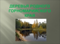 Деревья родного Горномарийского края