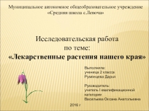 Исследовательская работа по окружающему миру Лекарственные растения моего села