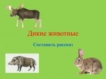 Презентация по окружающему миру на тему Дикие животные (3 кл.)