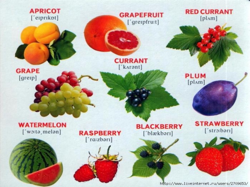 Назови плодовые. Ягоды названия. Названия ягод на английском. Название разных ягод. Фрукты названия.