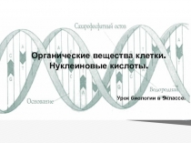 Презентация к уроку Нуклеиновые кислоты