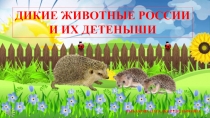 Презентация Дикие животные России и их детеныши