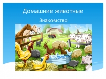 Презентация О домашних животных