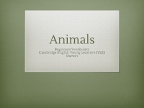 Презентация по английскому языку на тему Animals