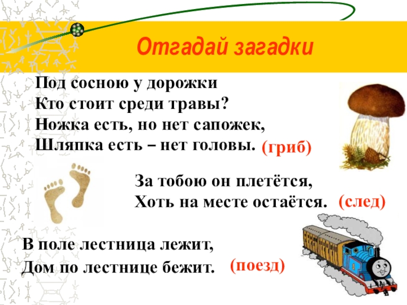 Класс угадала. Отгадай загадку. Загадки отгадывать загадки. Загадки с парной согласной. Загадки с парными согласными.