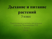 Презентация по окружающему миру Дыхание и питание растений. 3 класс Школа России.