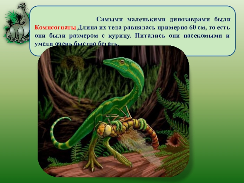 Как жили динозавры 1 класс окружающий мир презентация