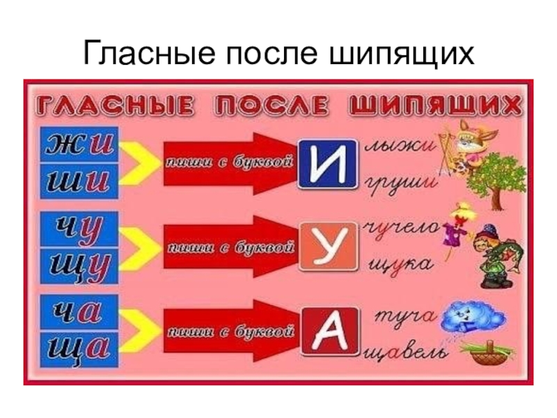 Составить связный рассказ о правописании гласных после шипящих записать план и примеры