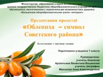 Презентация проекта Облепиха символ Советского района