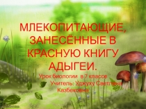 МЛЕКОПИТАЮЩИЕ, ЗАНЕСЁННЫЕ В КРАСНУЮ КНИГУ АДЫГЕИ