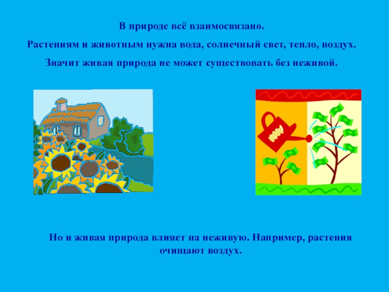 В природе все взаимосвязано. В природе все взоимо связано. Рассказ в природе все взаимосвязано. В природе всё взаимосвязано доклад.