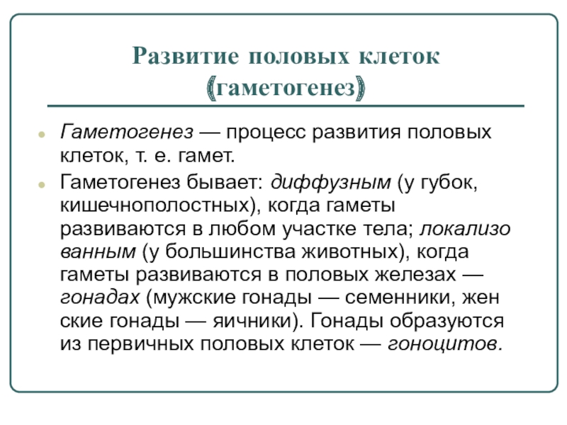 Развитие половых клеток. Развитие половых клеток гаметогенез. Этапы развития половых клеток. Как происходит развитие половых клеток.