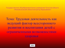 Трудовая деятельность как ведущий фактор всестороннего развития и воспитания детей с ограниченными возможностями здоровья
