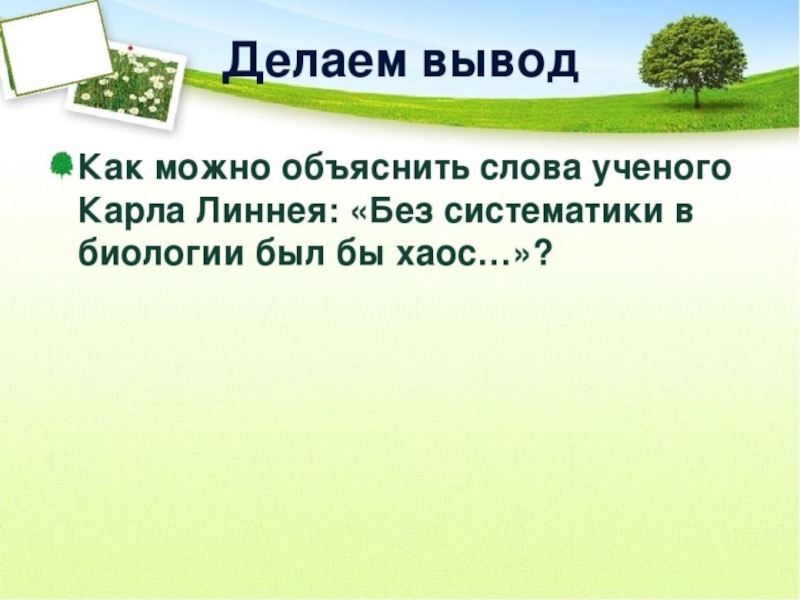 Презентация основы систематики растений 6 класс фгос пасечник