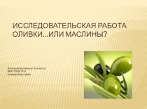 Исследовательская работа по теме: Оливки или... маслины?