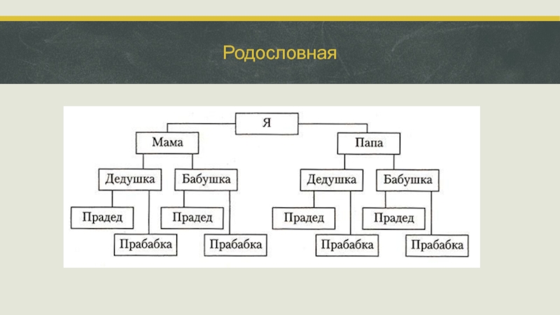 Родословная презентация 10 класс