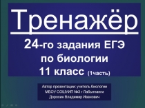 Презентация по биологии на тему: Тренажёр 24-го задания ЕГЭ по биологии, ч.1 (11 класс)