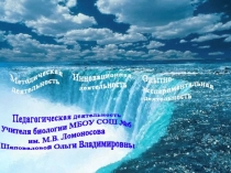 Презентация Педагогическая деятельность учителя