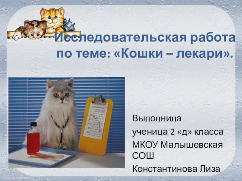 Кошки лекари проект