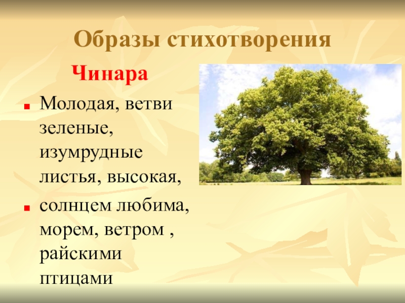 стихотворение листок. лермонтов стихотворение листок. стихотворение листок. стихотворение чинара. характеристика чинары в стихотворении.
