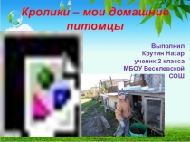 Проект по окружающему миру на тему  Кролики- мои домашние питомцы