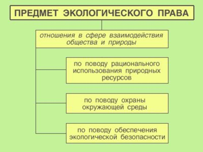 Развернутый план на тему экологическое право