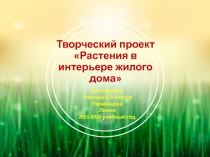 Творческий проект Растения в интерьере жилого дома