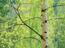 Презентация к уроку-КВН по теме Природа