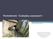 3 класс. Презентация по русскому языку на тему изложение Скворец-музыкант.